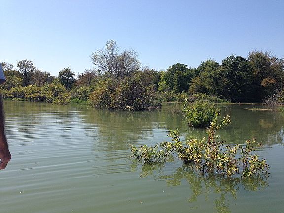 Entry from the lake