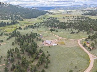 262 Navajo Trl, Florissant, CO 80816