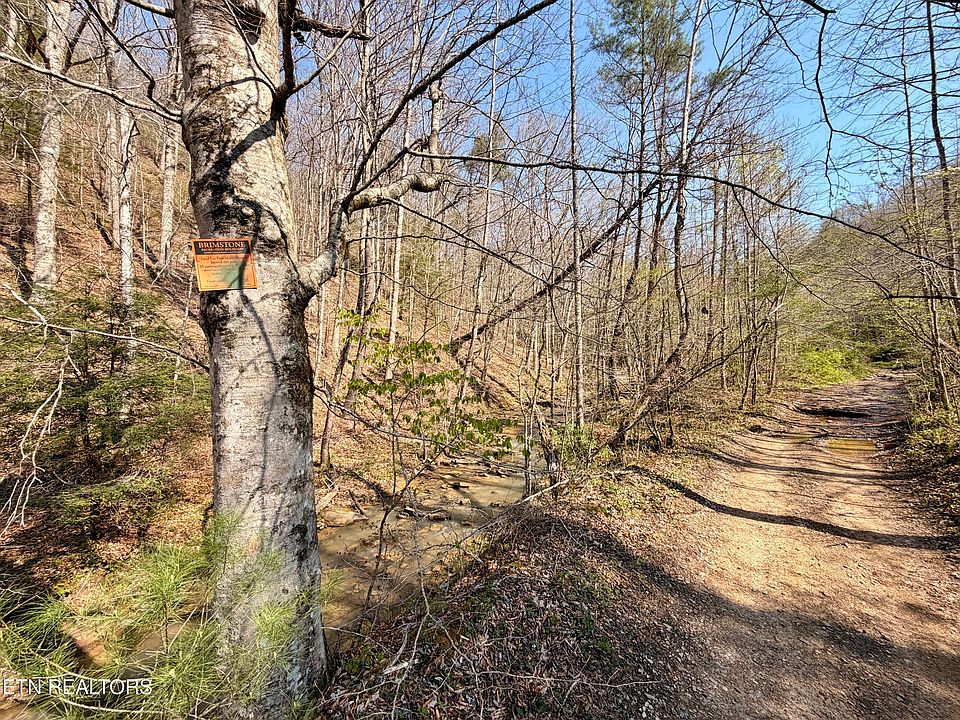34th image of 5640 Brimstone Rd