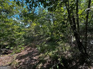 1787 Buddy Johnson Rd, East Dublin, GA 31027