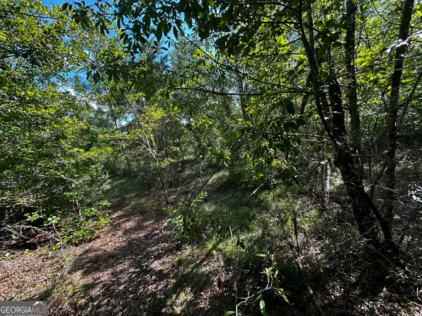 1787 Buddy Johnson Rd, East Dublin, GA 31027