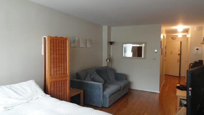 Rented by Manhattan Flats | media 6