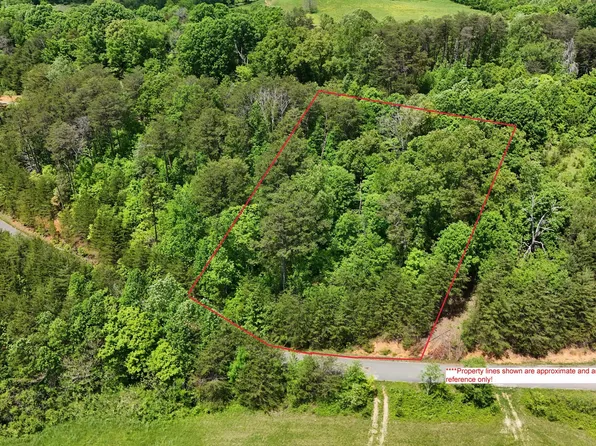 LOT 12 McGaha Chapel Rd, Cosby, TN 37722