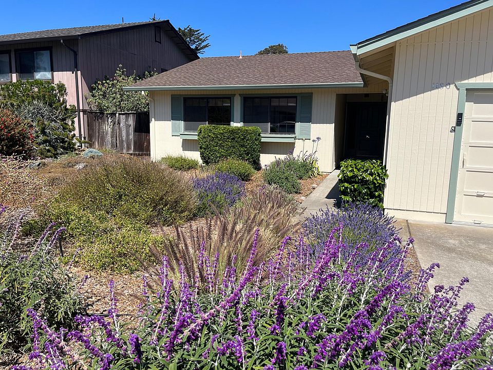 Drought Resistant Front Yard