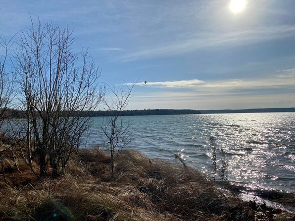 On Lake Margrethe Grayling Real Estate 3 Homes For Sale Zillow