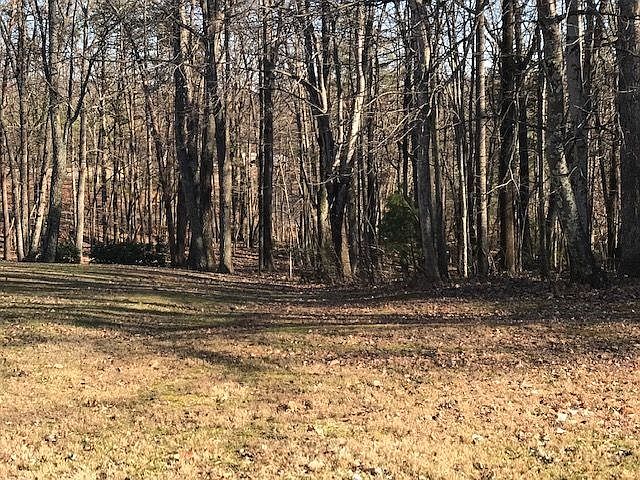 2nd image of 284 Sunnycrest Dr