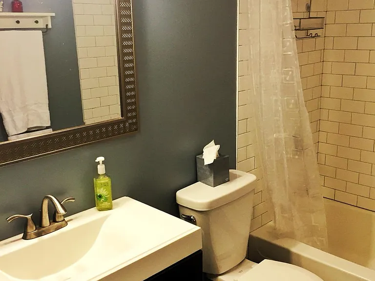 Guest bathroom