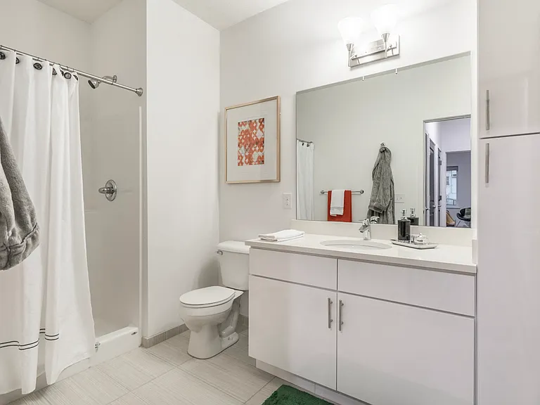 Contemporary design scheme bathroom.