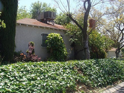 4th image of 4471 Yellowstone St