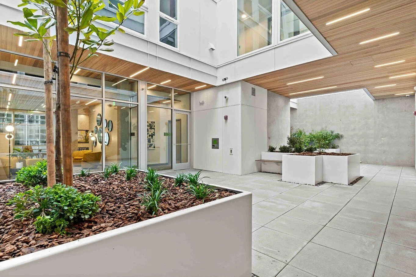 The Verra — Photo 2