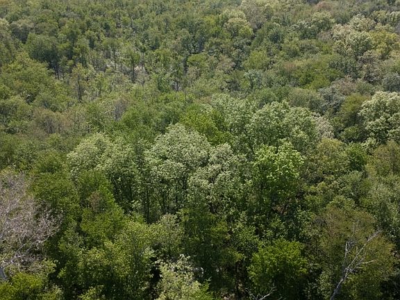 2nd image of 36 Countryside Rd
