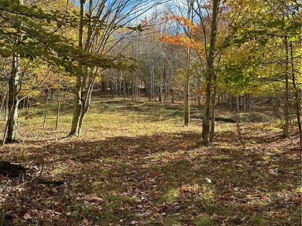 201 Birchwood Lane, Beech Mountain, NC 28604
