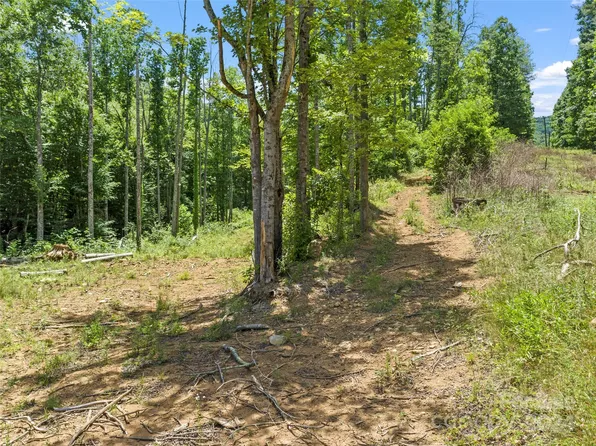 0 Silas Branch Rd, Burnsville, NC 28714