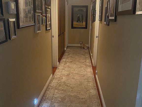 Long hallway to bedrooms