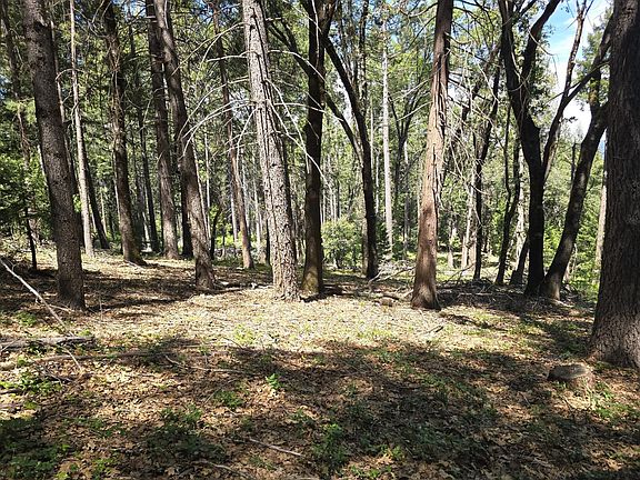 2nd image of 14599 Tumbling Creek Rd