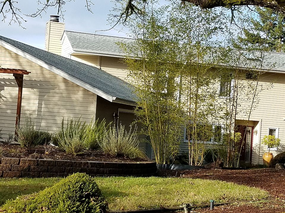 Street View: bamboo, raised garden beds, azaleas, rhodies