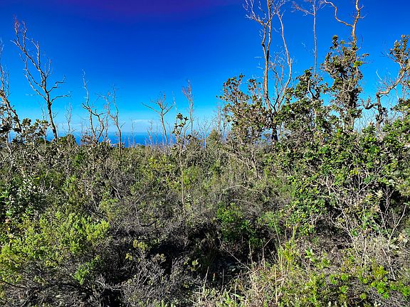 4th image of Tiki Ln Lot 14