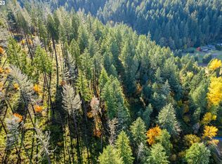 N Fork Rd, Westfir, OR 97492