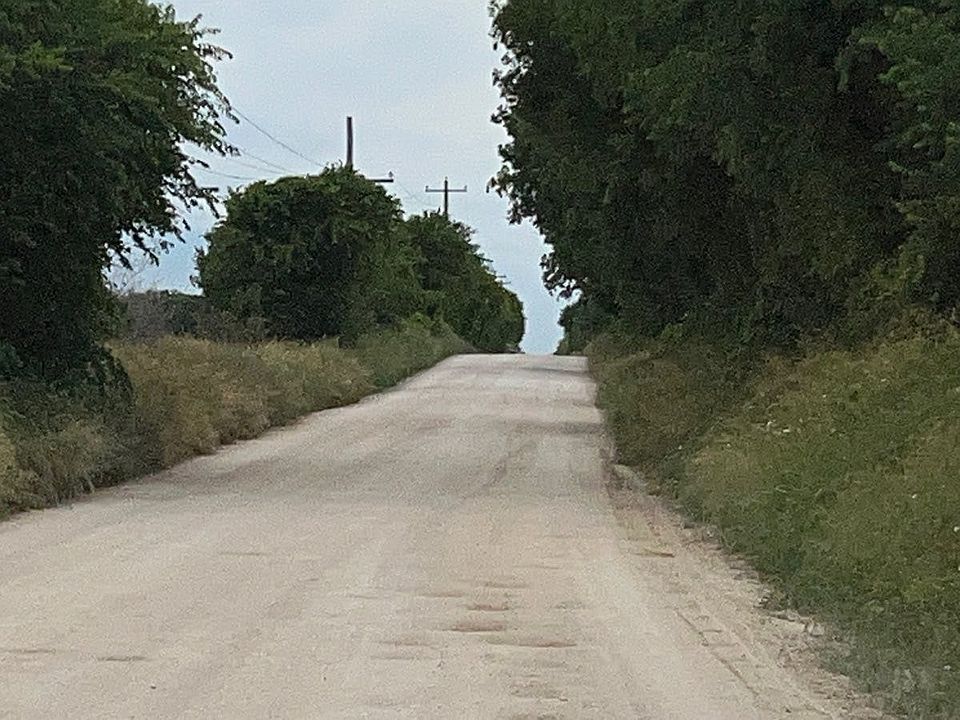 2nd image of 880 County Road 1439