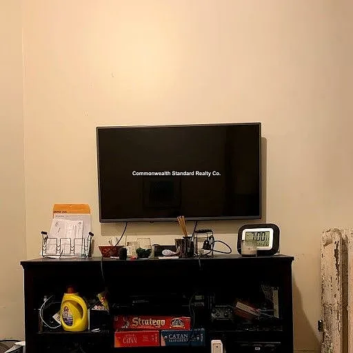 3 bed, 1000 sqft, $4,250 — Photo 3