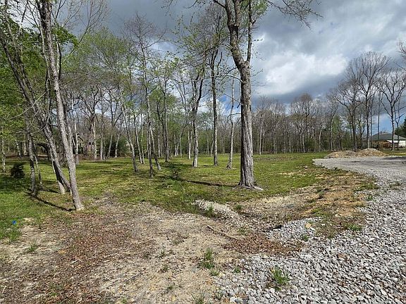 4th image of 361 Carrie Dr Lot 8