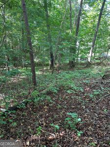 0 View St, Clarkesville, GA, 30523