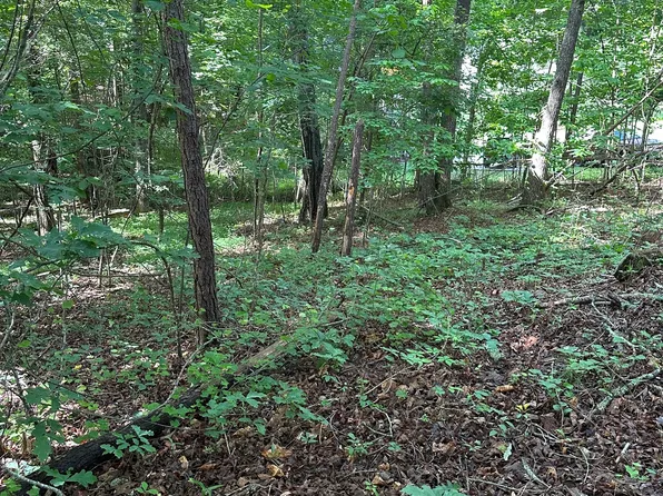 0 View St, Clarkesville, GA 30523