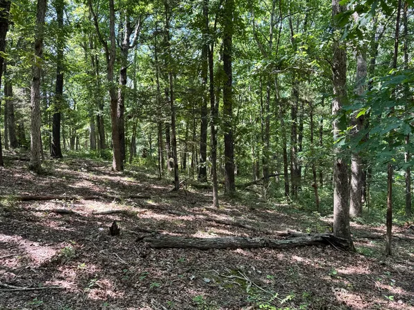 000 Clear Sky Drive, Marshfield, MO 65706