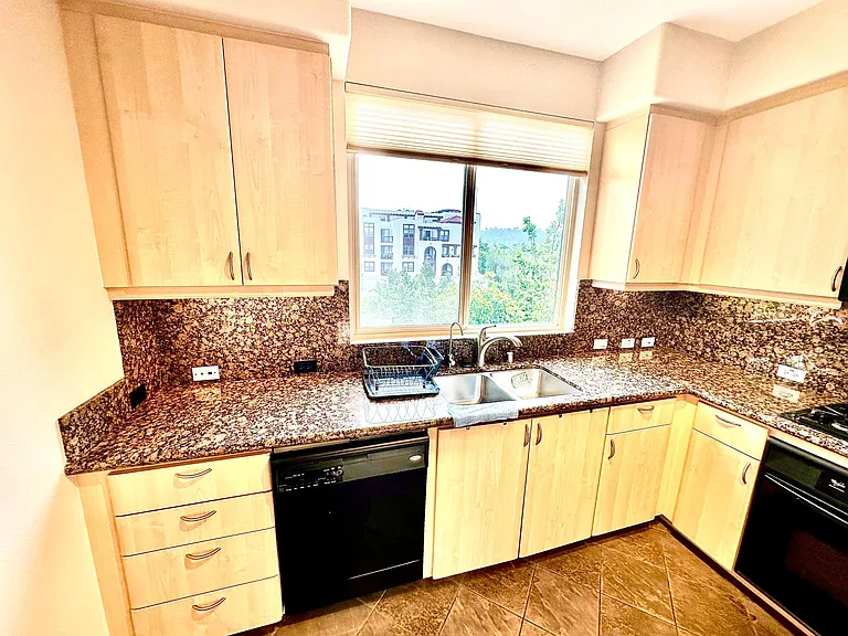 8355 Station Village Ln #4312 — Photo 9
