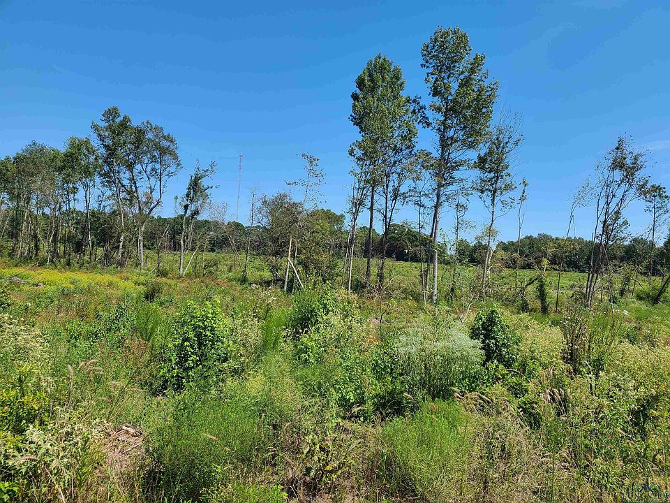2nd image of LOT 9B County Road 104