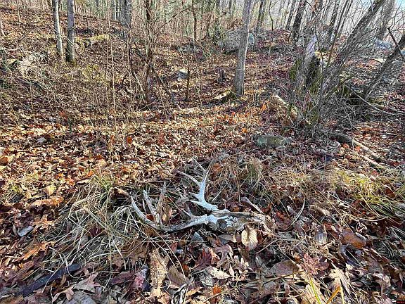 3rd image of 170-00001-000 Rail Rd