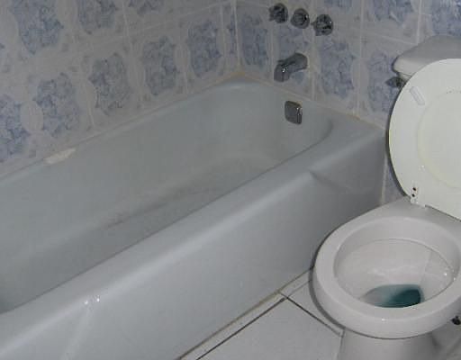 4th image of 1860 Venice Park Dr APT 124