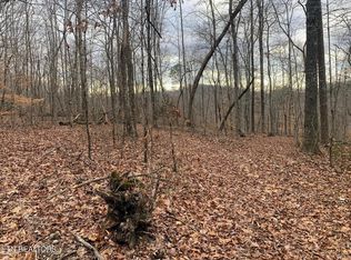 620 Big Sinks Rd, Sharps Chapel, TN 37866