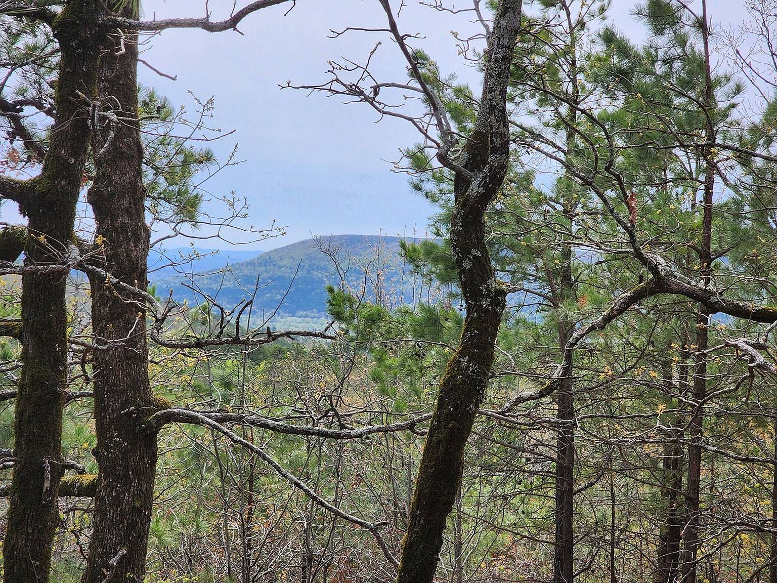 0 Physical Address, Red Oak, OK 74563 Zillow