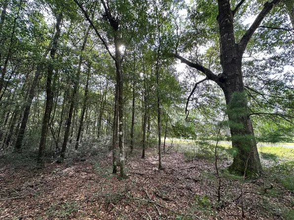 LOT Pineforest Dr #D, Crestview, FL 32539