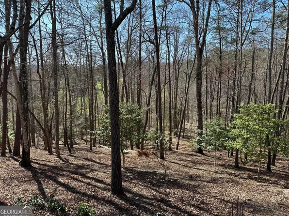 LOT 40 Asheland Cove Dr, Young Harris, GA 30582