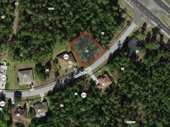 111 Grass St Lot 78, Homosassa, FL 34446