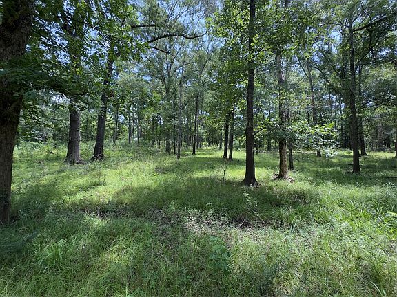 4th image of 947 County Road 2850