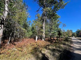 V/l L18 21 Monroe Ave, Grayling, MI 49738