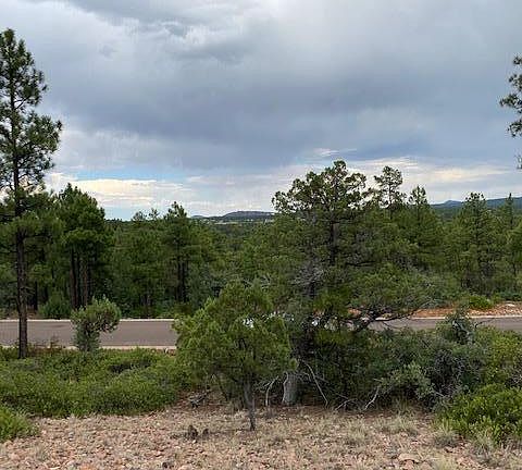 4th image of 1720 S Pleasantview Dr Lot 426
