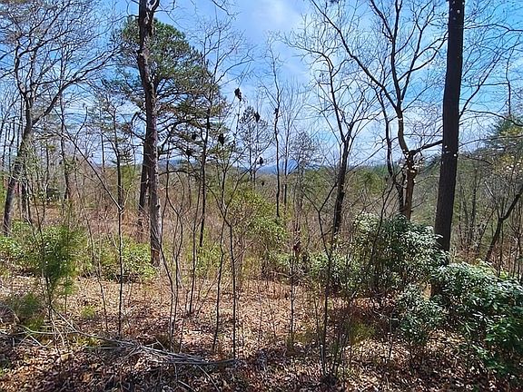 3rd image of 28 Brasstown