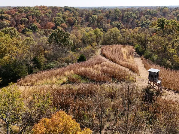 1701 Persimmon Ridge Rd, Carlisle, KY 40311