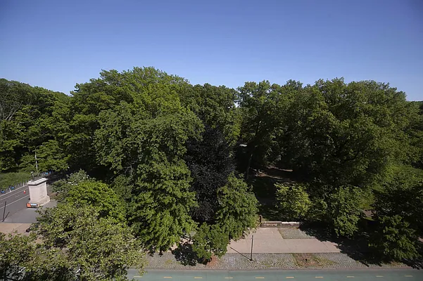 Rented by Vertical Real Estate LLC | media 7