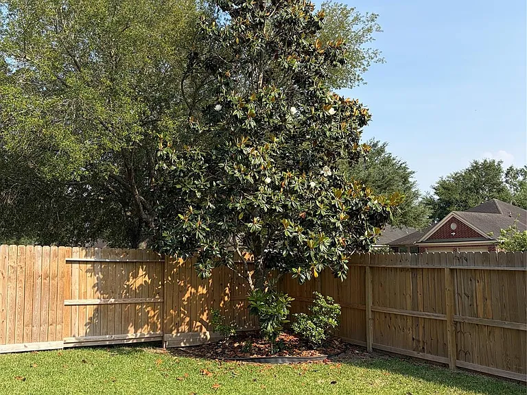 2515 Silverton Bnd — Photo 10