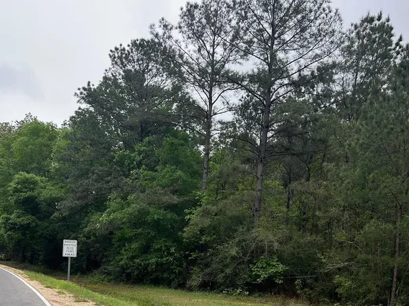 TRACT 1 Pride Baywood Rd, Pride, LA 70770