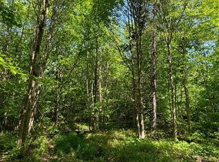 1.19 Mud Brook Rd #19, Constableville, NY 13325