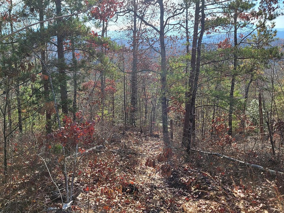 2nd image of Wild Briar Trl