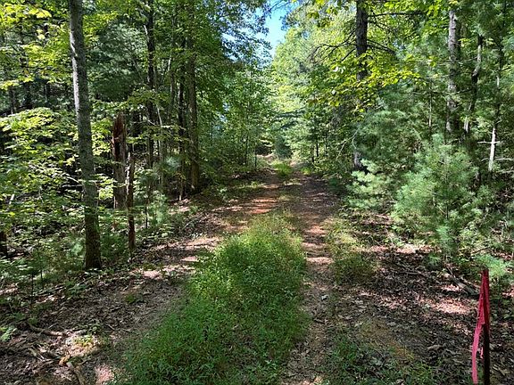 2nd image of LOT 6&7 Donley Rd