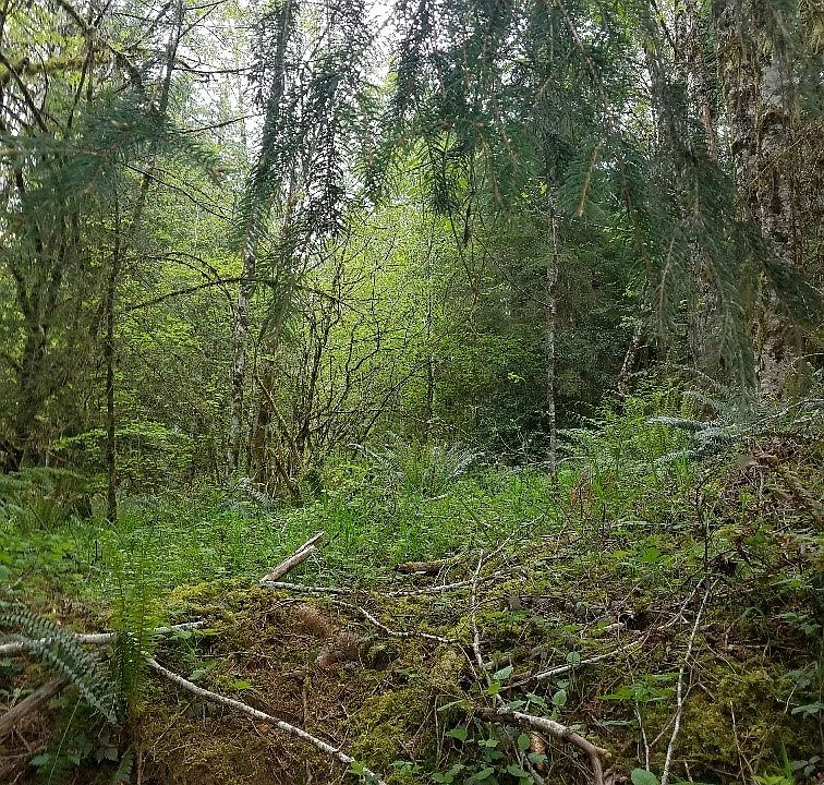 2nd image of 440 Next To Mill Creek Rd