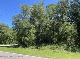 LOT 20 Richardson Blvd, Webster, FL 33597